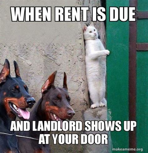 rent meme|24 Relatable Apartment Memes for Tired Renters Ready To